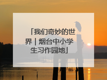 我们奇妙的世界｜烟台中小学生习作园地