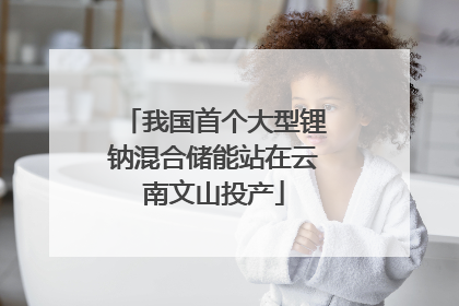 我国首个大型锂钠混合储能站在云南文山投产