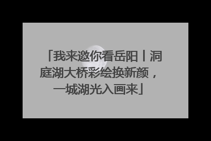 我来邀你看岳阳丨洞庭湖大桥彩绘换新颜，一城湖光入画来