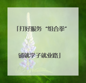 打好服务“组合拳” 铺就学子就业路