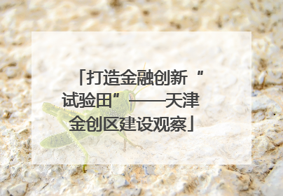 打造金融创新“试验田”——天津金创区建设观察