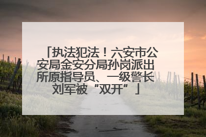 执法犯法！六安市公安局金安分局孙岗派出所原指导员、一级警长刘军被“双开”