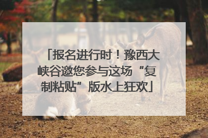 报名进行时！豫西大峡谷邀您参与这场“复制粘贴”版水上狂欢