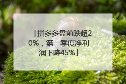 拼多多盘前跌超20%，第一季度净利润下降45%
