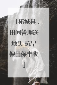 柘城县：田间管理送地头 抗旱保苗保丰收