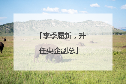 李季履新，升任央企副总