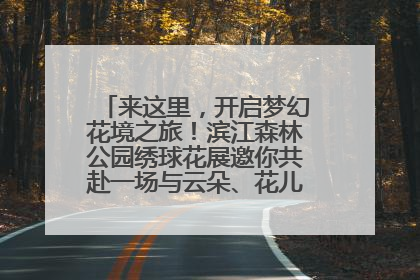 来这里，开启梦幻花境之旅！滨江森林公园绣球花展邀你共赴一场与云朵、花儿的浪漫之约