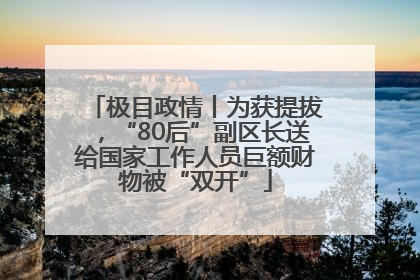 极目政情丨为获提拔，“80后”副区长送给国家工作人员巨额财物被“双开”
