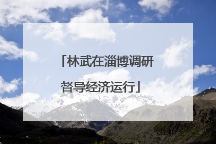 林武在淄博调研督导经济运行
