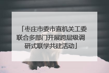 枣庄市委市直机关工委联合多部门开展跨层级调研式联学共建活动