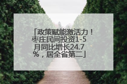 政策赋能激活力！枣庄民间投资1-5月同比增长24.7%，居全省第二