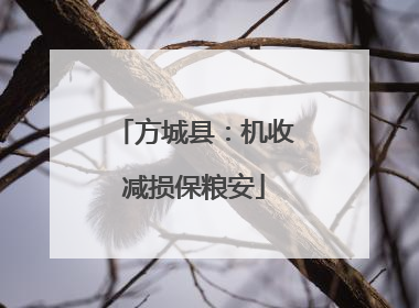 方城县：机收减损保粮安