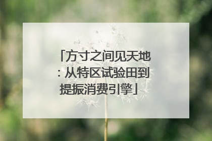方寸之间见天地：从特区试验田到提振消费引擎