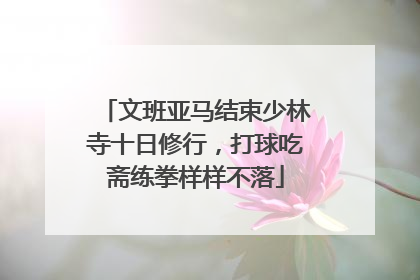 文班亚马结束少林寺十日修行，打球吃斋练拳样样不落