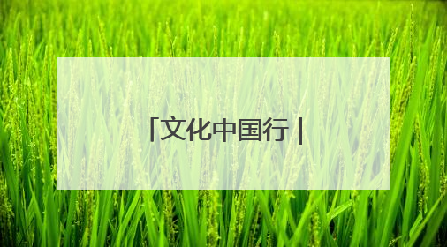 文化中国行｜浪起千帆 深蓝宝藏——博物馆里的海丝遗珍