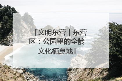 文明东营｜东营区：公园里的全龄文化栖息地