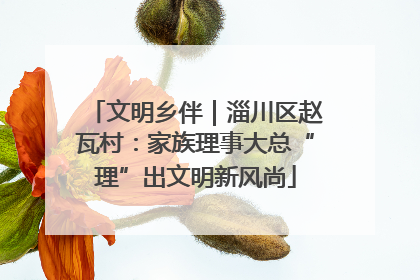 文明乡伴｜淄川区赵瓦村：家族理事大总“理”出文明新风尚