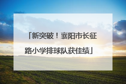 新突破！襄阳市长征路小学排球队获佳绩