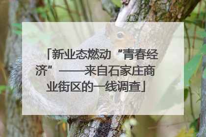 新业态燃动“青春经济”——来自石家庄商业街区的一线调查