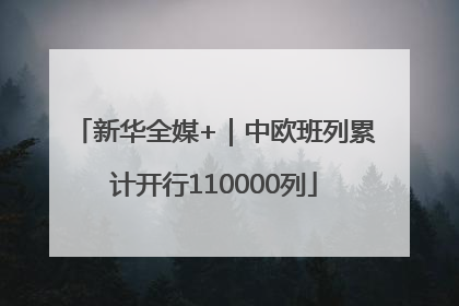 新华全媒+｜中欧班列累计开行110000列