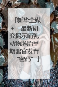 新华全媒+｜最新研究揭示哺乳动物胚胎早期器官发育“密码”