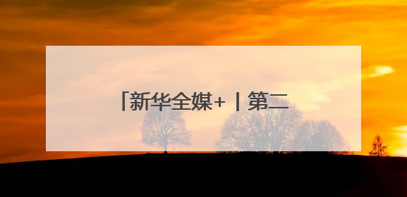 新华全媒+丨第二十届中国西部国际博览会在成都开幕