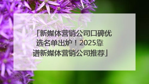 新媒体营销公司口碑优选名单出炉！2025靠谱新媒体营销公司推荐