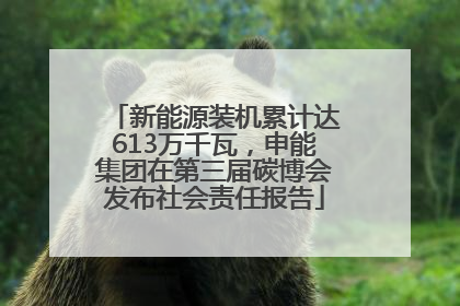 新能源装机累计达613万千瓦，申能集团在第三届碳博会发布社会责任报告
