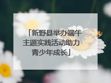 新野县举办端午主题实践活动助力青少年成长