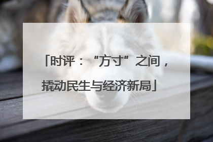 时评：“方寸”之间，撬动民生与经济新局