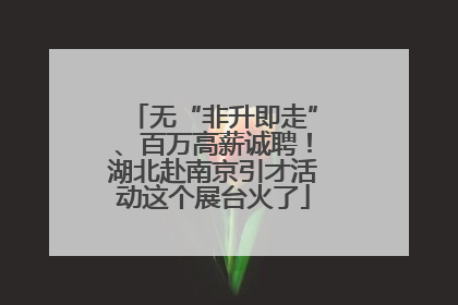 无“非升即走”、百万高薪诚聘！湖北赴南京引才活动这个展台火了