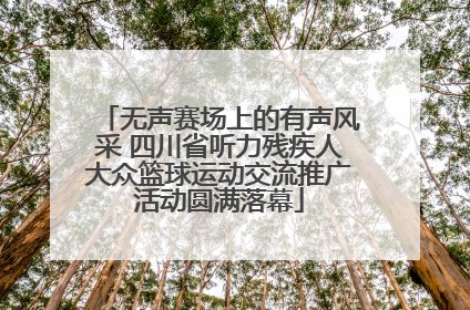 无声赛场上的有声风采 四川省听力残疾人大众篮球运动交流推广活动圆满落幕