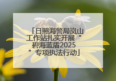 日照海警局岚山工作站扎实开展“碧海蓝盾2025”专项执法行动