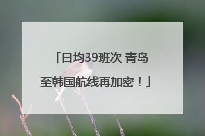 日均39班次 青岛至韩国航线再加密！