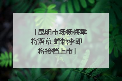 昆明市场杨梅季将落幕 蜂糖李即将接档上市