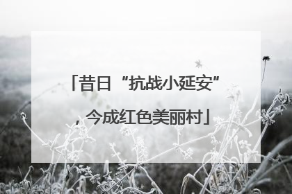 昔日“抗战小延安”，今成红色美丽村