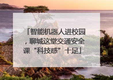 智能机器人进校园，聊城这堂交通安全课“科技感”十足