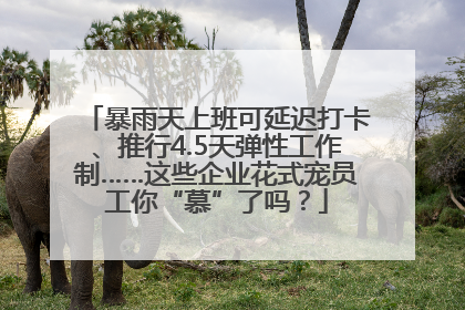 暴雨天上班可延迟打卡、推行4.5天弹性工作制……这些企业花式宠员工你“慕”了吗？