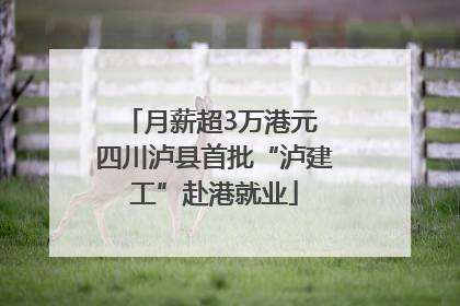 月薪超3万港元 四川泸县首批“泸建工”赴港就业