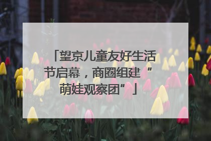 望京儿童友好生活节启幕，商圈组建“萌娃观察团”