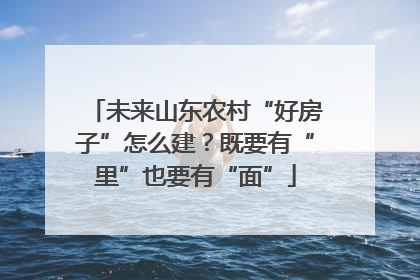 未来山东农村“好房子”怎么建？既要有“里”也要有“面”