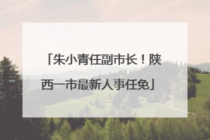 朱小青任副市长！陕西一市最新人事任免
