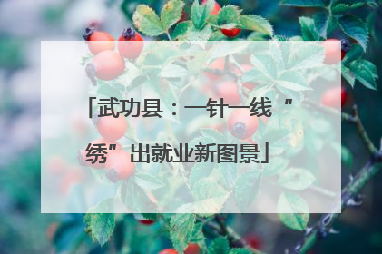 武功县：一针一线“绣”出就业新图景