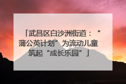 武昌区白沙洲街道：“蒲公英计划”为流动儿童筑起“成长乐园”