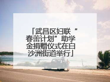武昌区妇联“春蕾计划”助学金捐赠仪式在白沙洲街道举行