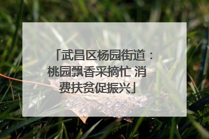 武昌区杨园街道：桃园飘香采摘忙 消费扶贫促振兴