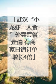 武汉“小龙虾一人食”外卖套餐走俏 有商家日销订单增长4倍