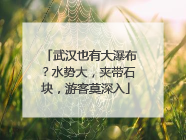武汉也有大瀑布？水势大，夹带石块，游客莫深入
