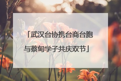 武汉台协携台商台胞与蔡甸学子共庆双节