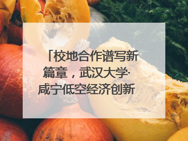 校地合作谱写新篇章，武汉大学·咸宁低空经济创新研究院签约成立